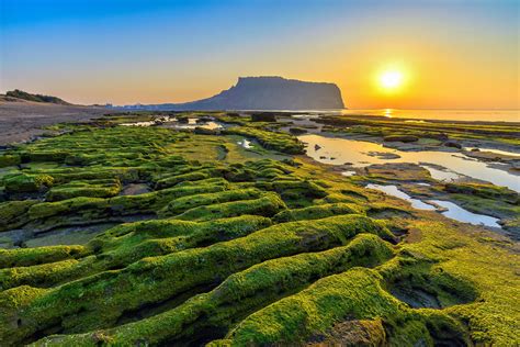 jejuslotlat|Jeju Island Tourism .
